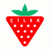 Çilek
