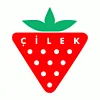 Çilek